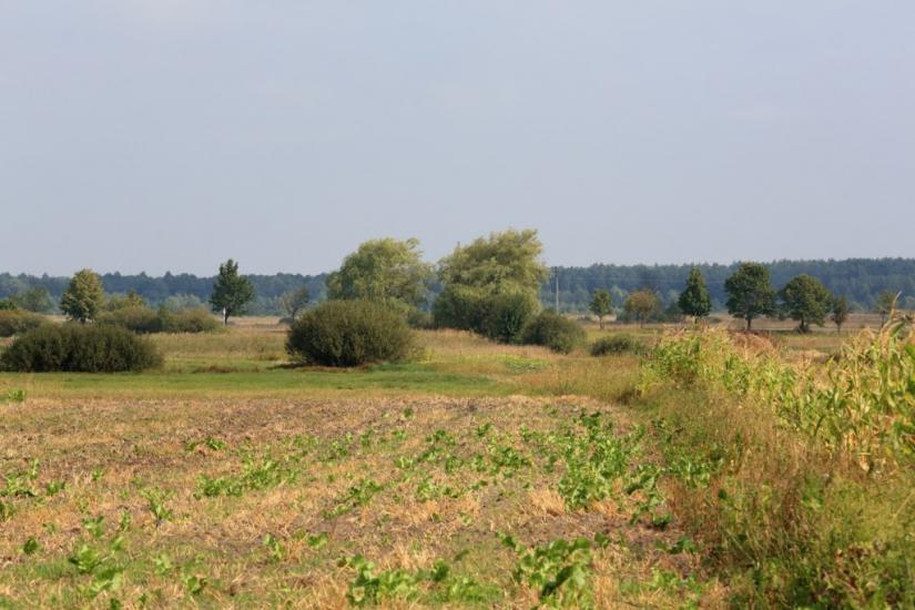 Седлище з panoramio.com - Седлище