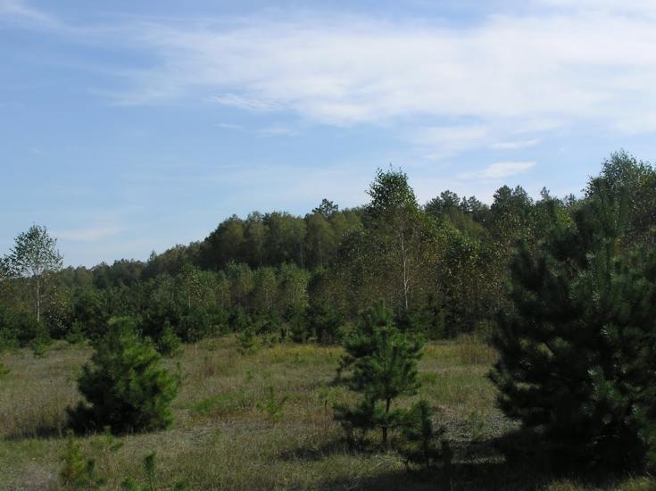 Струмок з panoramio.com - Струмок