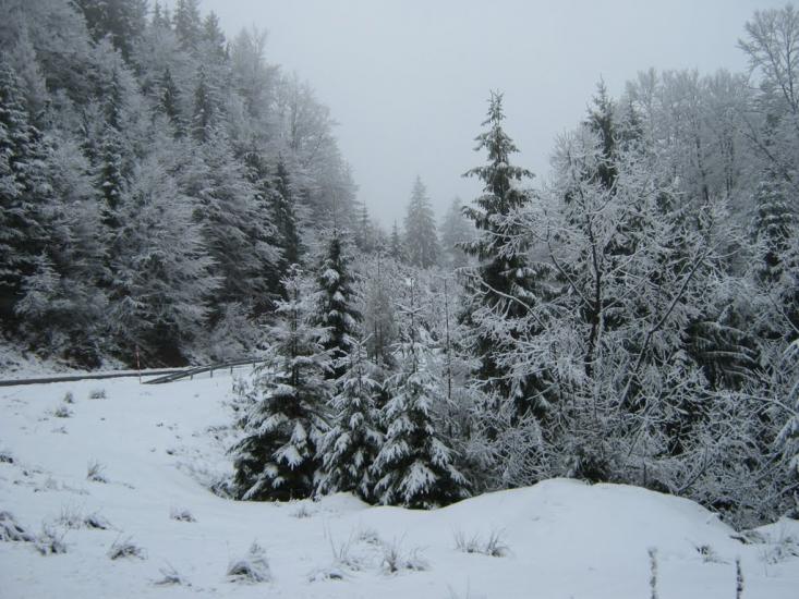 Вишків з panoramio.com - Вышков