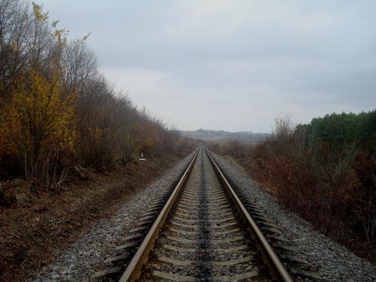 Вільхівчик з panoramio.com - Ольховчик