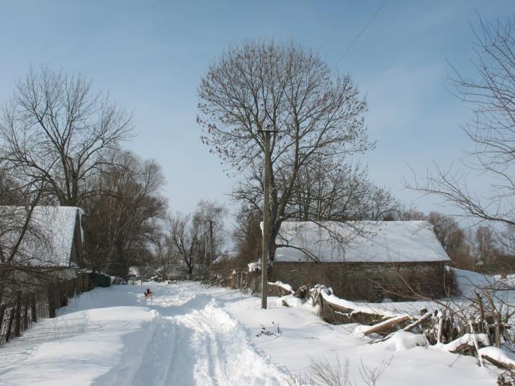 Осіч з panoramio.com - Осіч