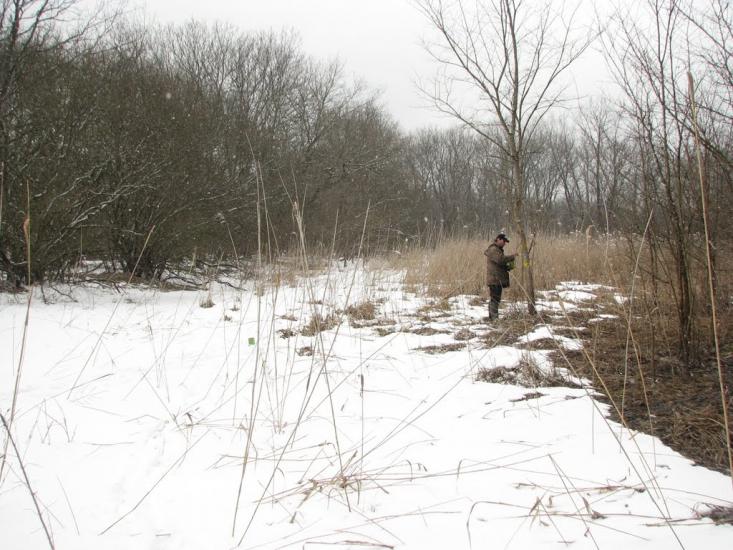 Підлісне з panoramio.com - Pidlisne