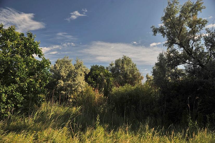 Олександро-Калинове з panoramio.com - Oleksandro-Kalynove