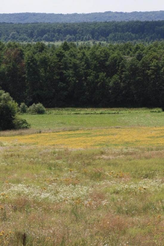 Піски-Удайські з panoramio.com - Пески-Удайские