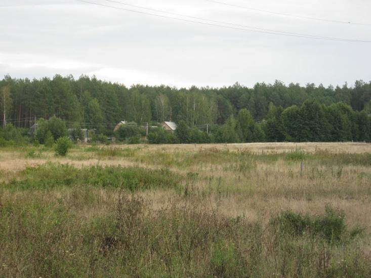 Пилиповичі з panoramio.com - Пилиповичи