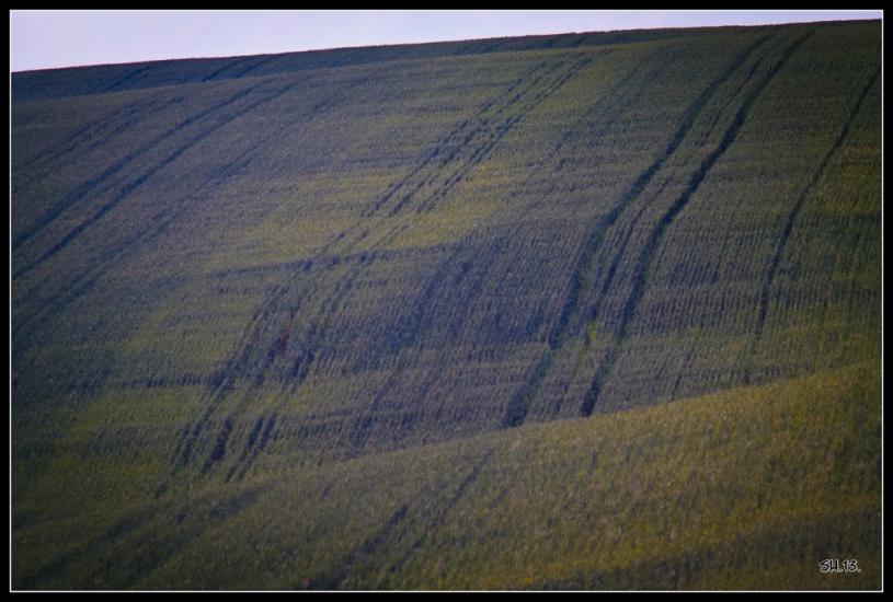 Кустин з panoramio.com - Кустин