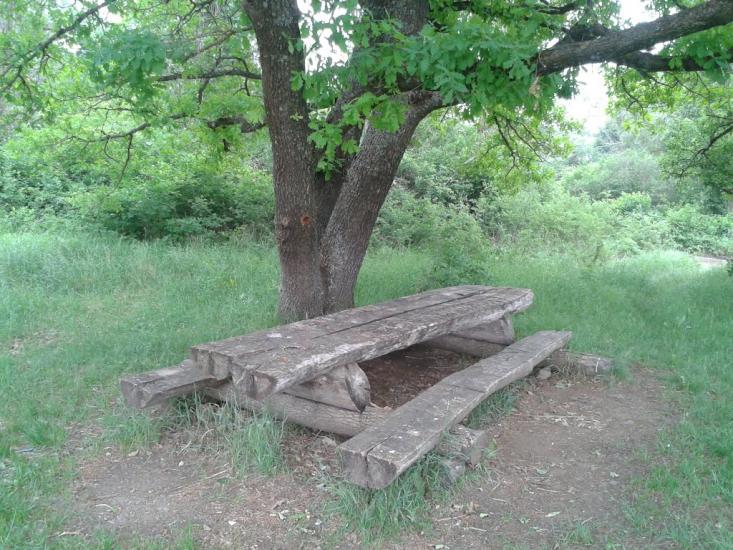 Партизанське з panoramio.com - Партизанское