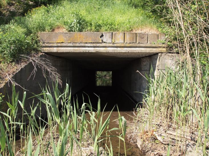 Балабине з panoramio.com - Балабино