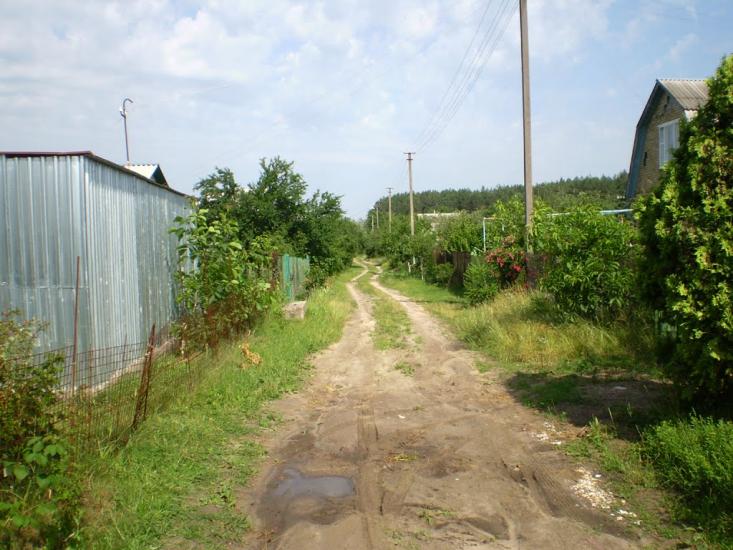 Пилиповичі з panoramio.com - Пилиповичі