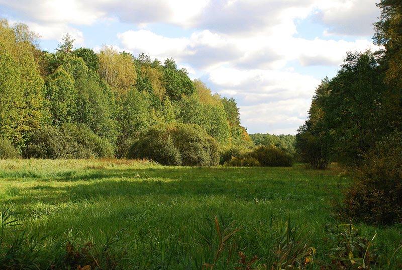 Довжик з panoramio.com - Довжик