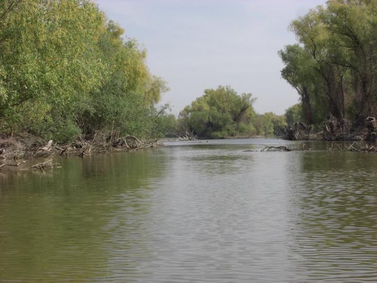 Дунайське з panoramio.com (ч.2) - Дунайське