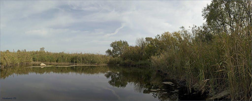 Валове з panoramio.com - Софиевка