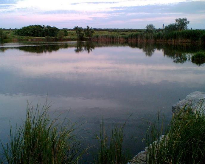 Нижньокринське з panoramio.com - Нижньокринське