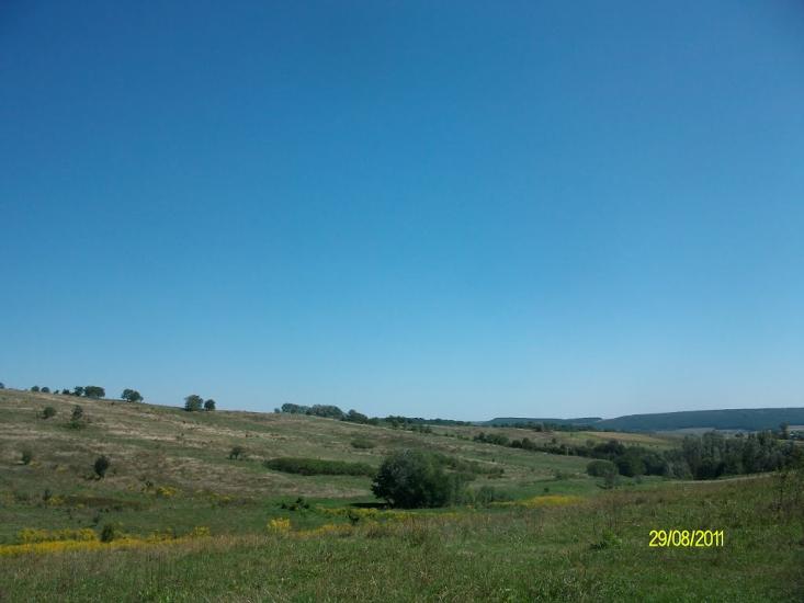 Тарасівці з panoramio.com - Тарасовцы