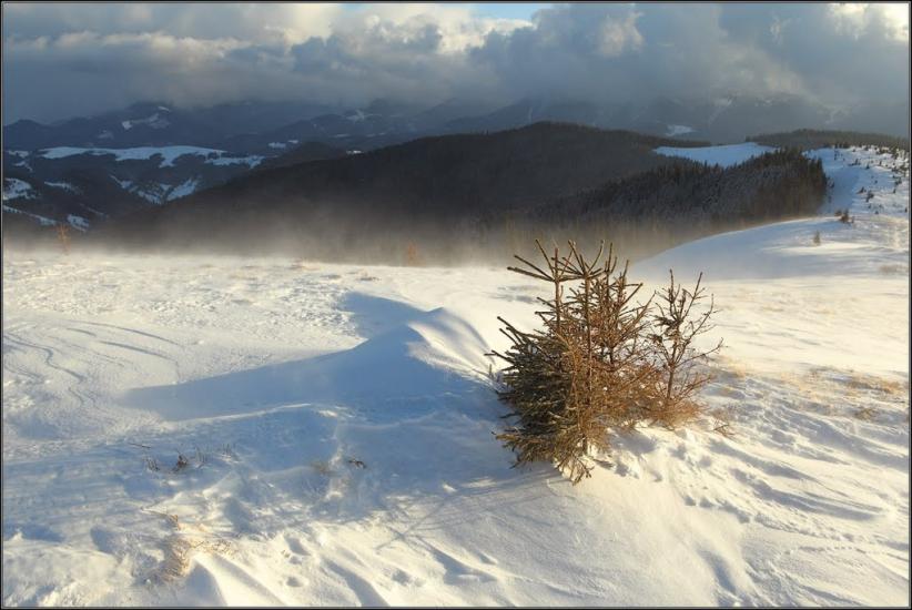Кривопілля з panoramio.com - Kryvopillya