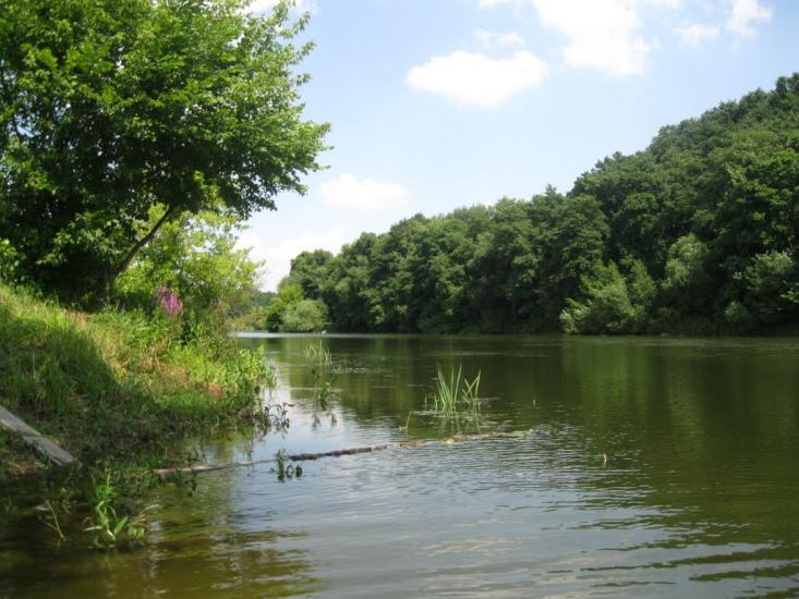 Рогізна з panoramio.com - Рогозна