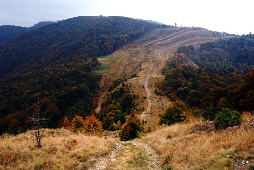 Тюшка з panoramio.com - Тюшка