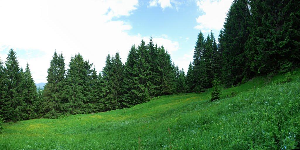 Потік з panoramio.com - Поток