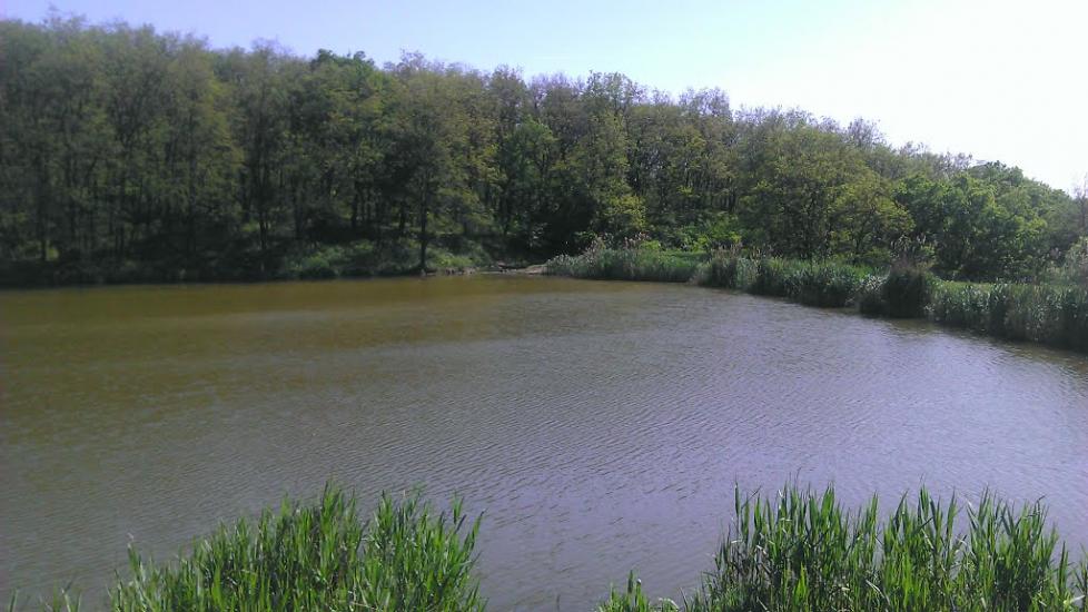 Золоте з panoramio.com - Zolote