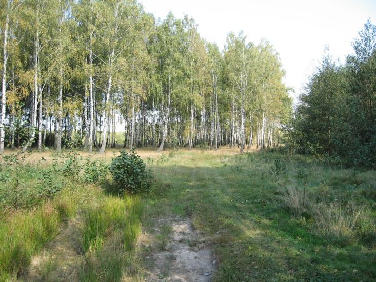 Рудня-Гацьківка з panoramio.com - Рудня-Гацьківка