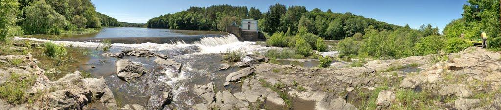 Вільха з panoramio.com - Ольха