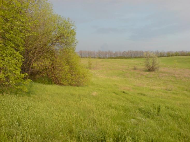 Сад з panoramio.com - Сад