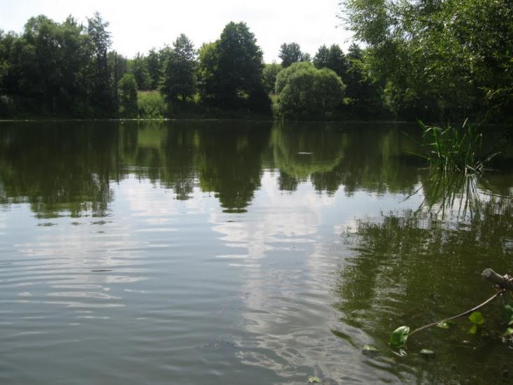 Рогізна з panoramio.com - Рогозна