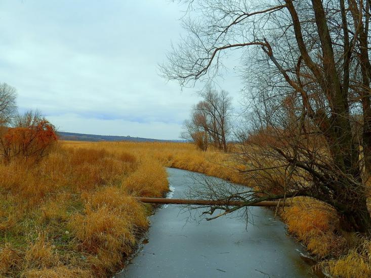 Булавинське з panoramio.com - Bulavynske