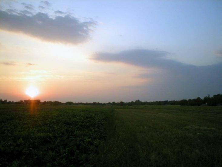 Рогізне з panoramio.com - Рогозное