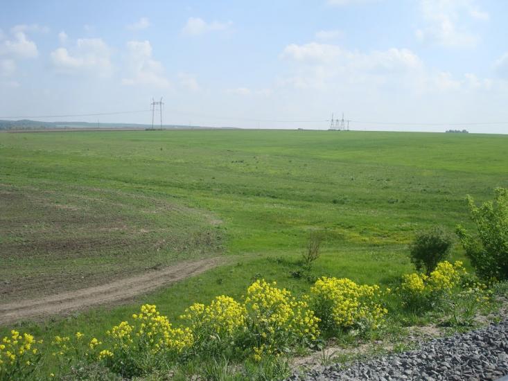 Стара Гута з panoramio.com - Старая Гута