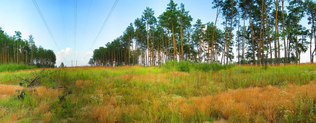 Велика Димерка з panoramio.com - Великая Дымерка