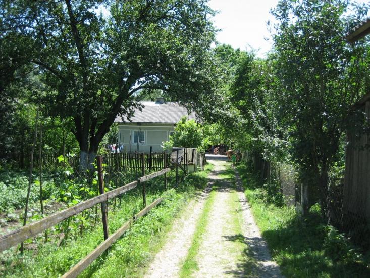 Стрілковичі з panoramio.com - Стрелковичи