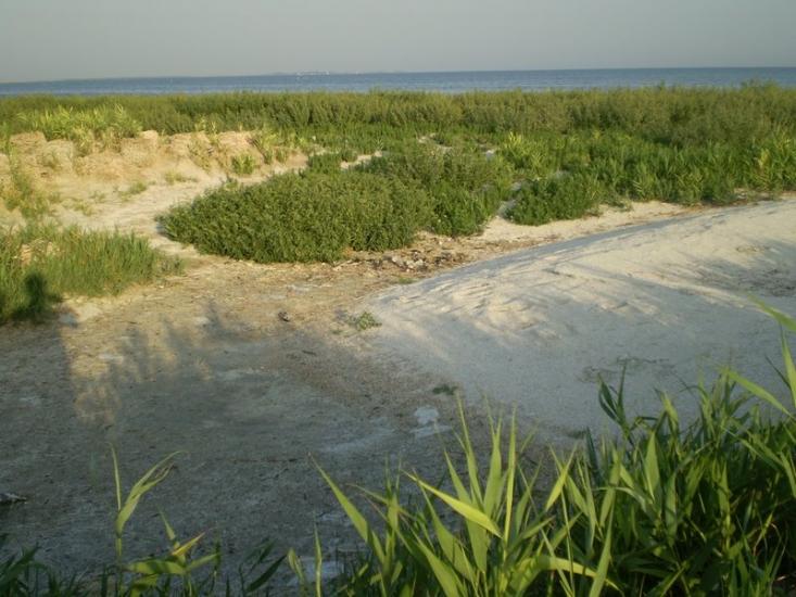 Хорли з panoramio.com - Хорлы