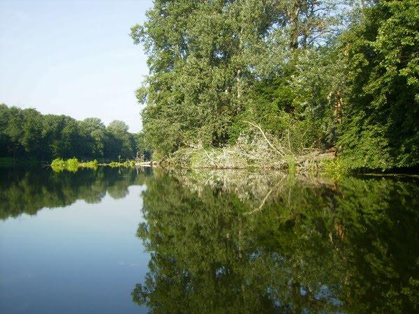 Червоний Донець з panoramio.com - Червоний Донець