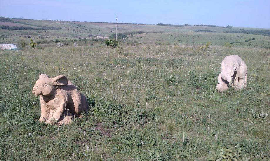 Рози Люксенбург з panoramio.com - Новое Шахово