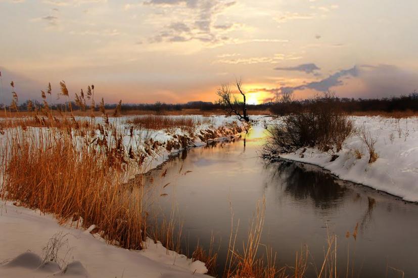 Ходорів з panoramio.com - Ходорів