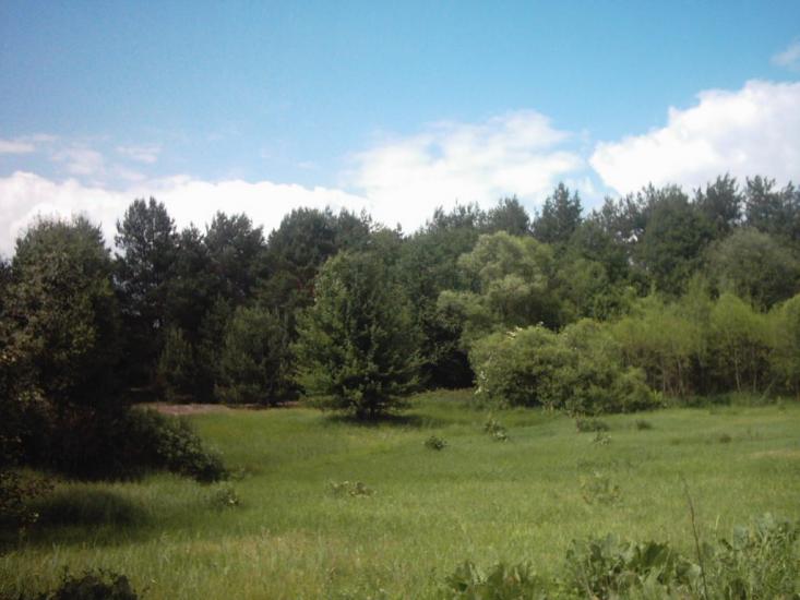Римачі з panoramio.com - Рымачи