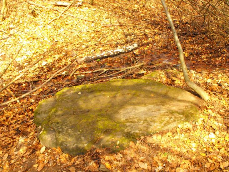 Забрідь з panoramio.com - Забрідь