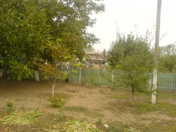 Нижні Торгаї з panoramio.com - Нижні Торгаї