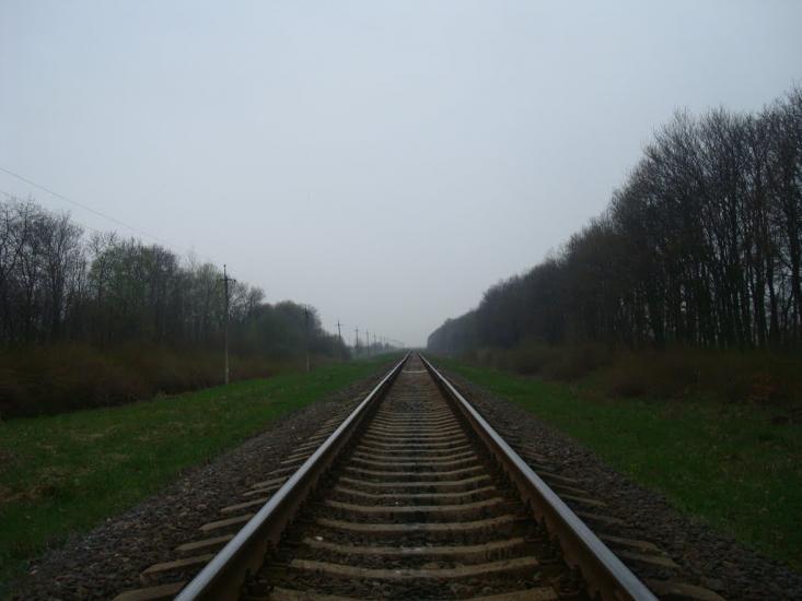 Пашківці з panoramio.com - Пашковцы