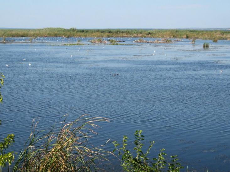 Нова Некрасівка з panoramio.com - Новая Некрасовка