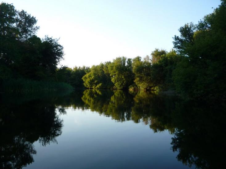 Кринки з panoramio.com - Кринки