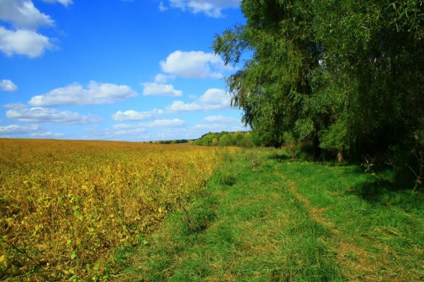 Тарасівка з panoramio.com - Tarasivka