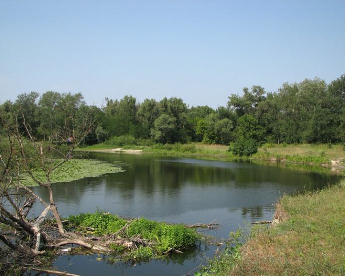 Бірки з panoramio.com - Борки