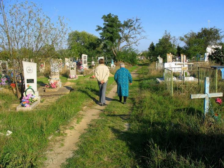 Чаплинка з panoramio.com - Чаплинка