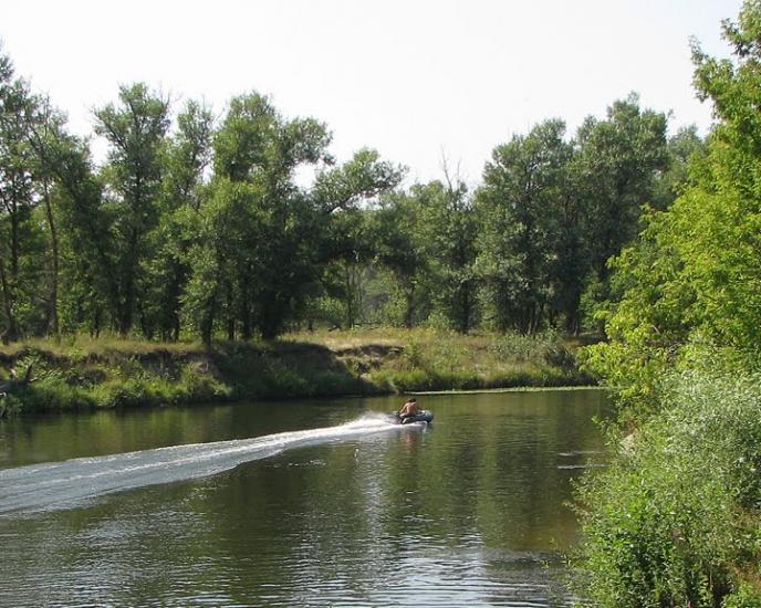 Бірки з panoramio.com - Борки