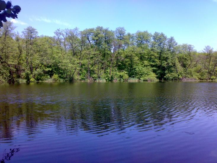 Підлісне з panoramio.com - Pidlisne