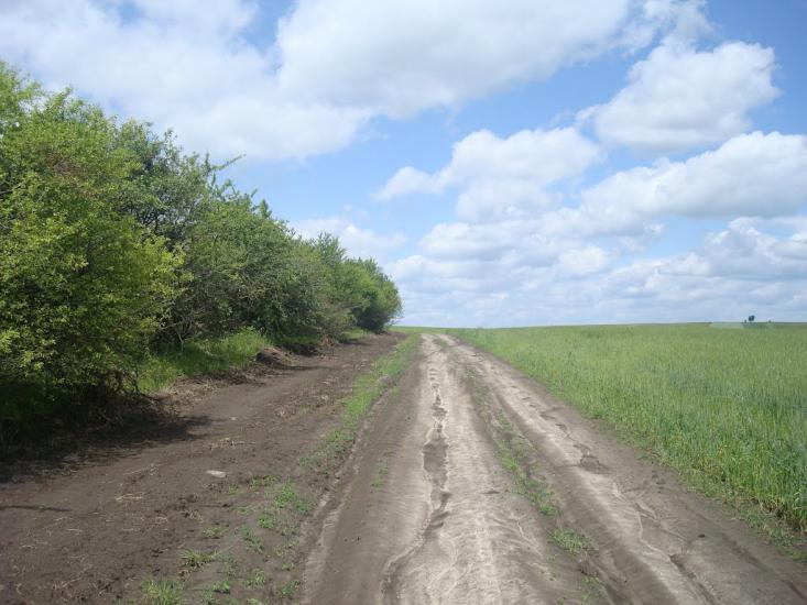 Стуфчинці з panoramio.com - Стуфчинцы