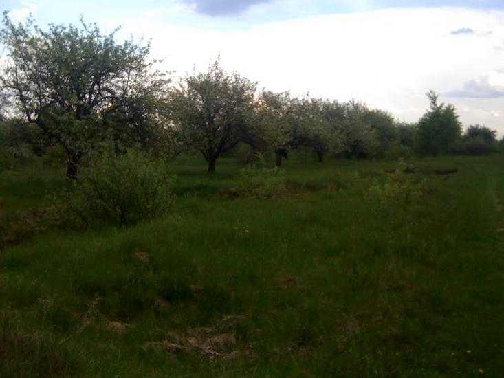 Дацьки з panoramio.com - Дацьки