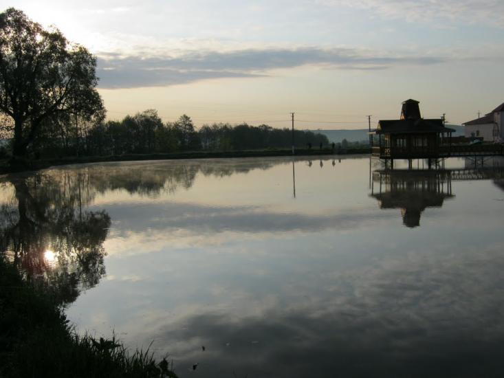 Старі Кривотули з panoramio.com - Старі Кривотули